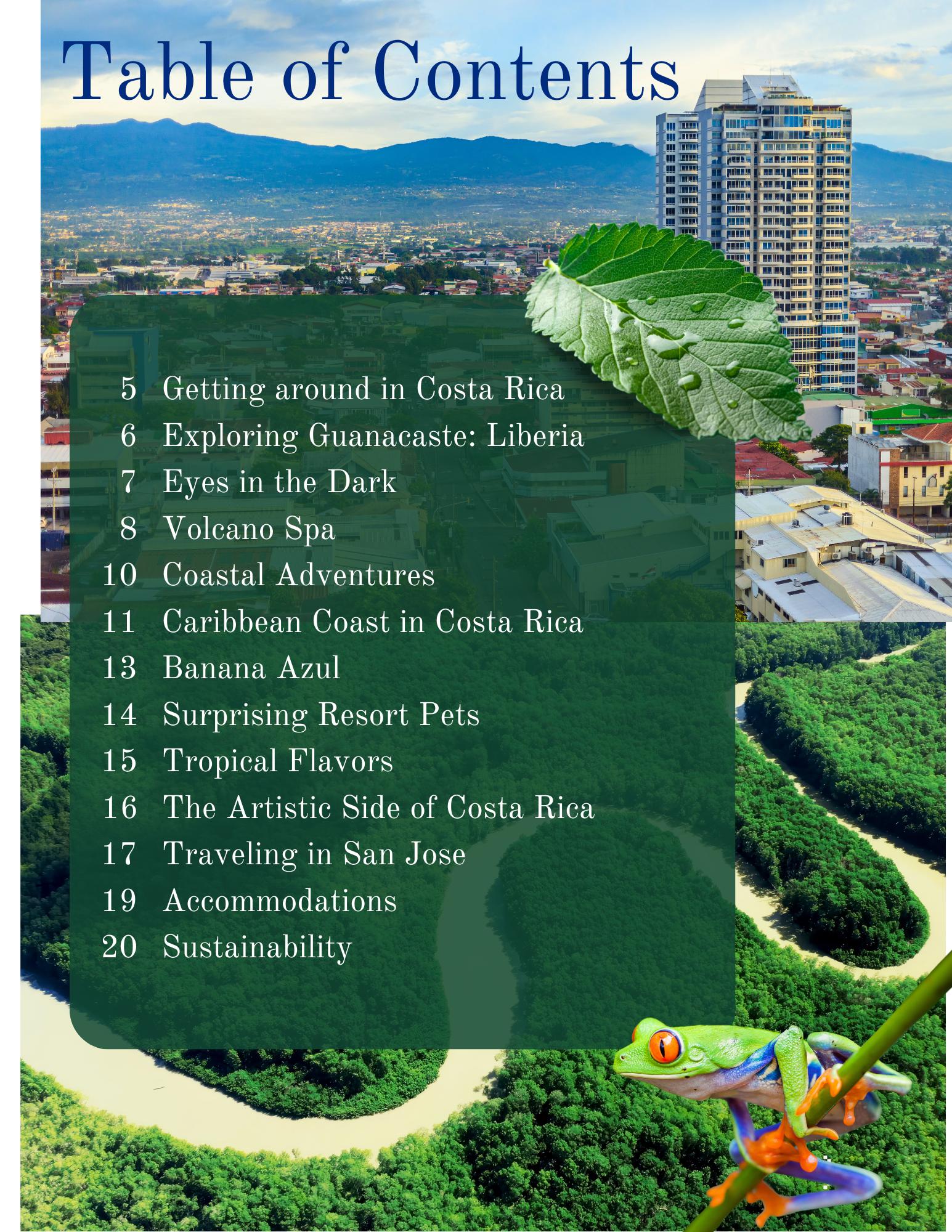 Table of Contents