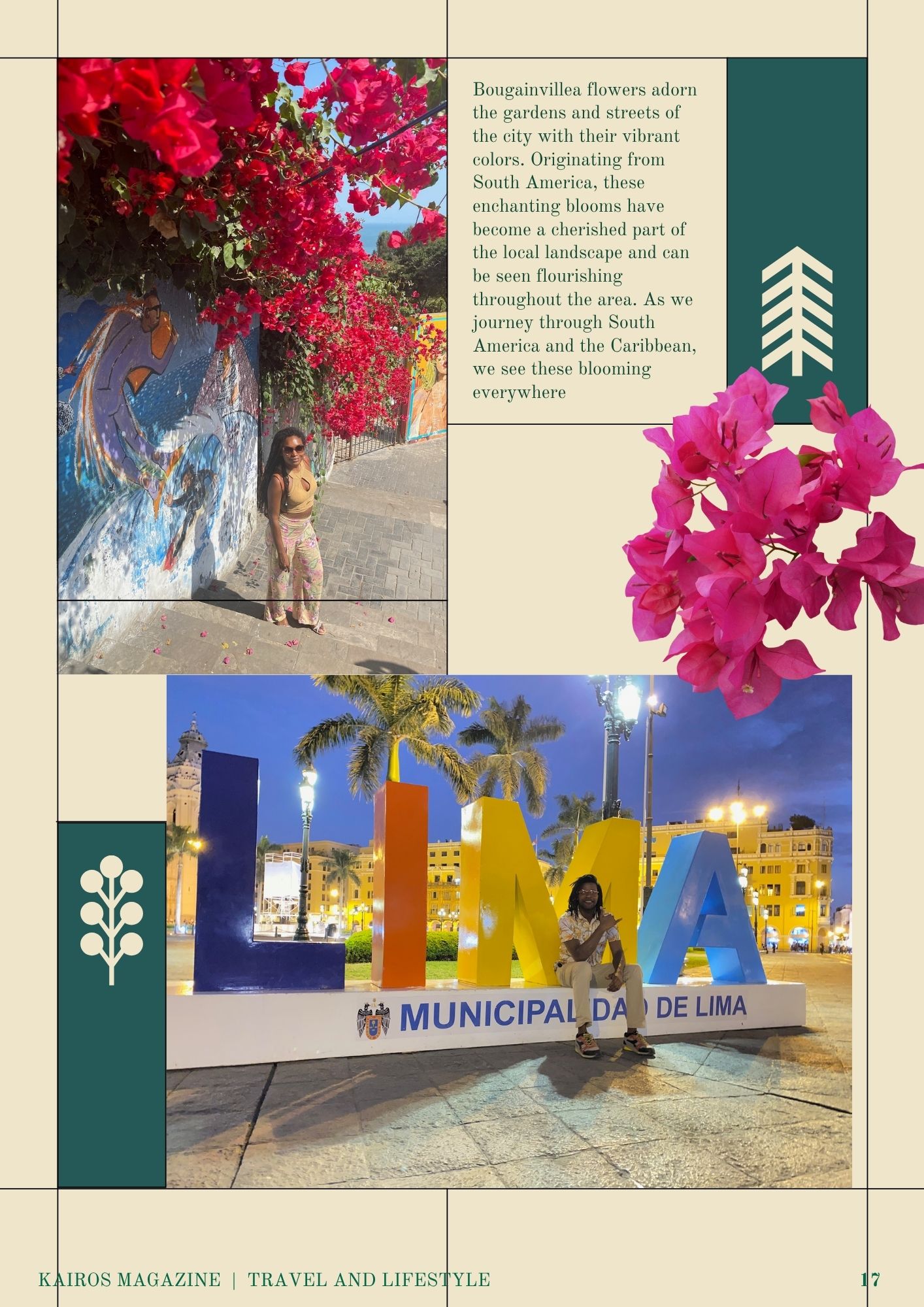Vivid bougainvillea flowers in South America